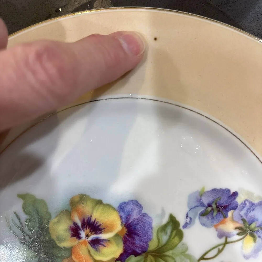 Vintage Austria HUB Hand Painted Violets Dinner PLATE - 8 5/8” Dia Peach White